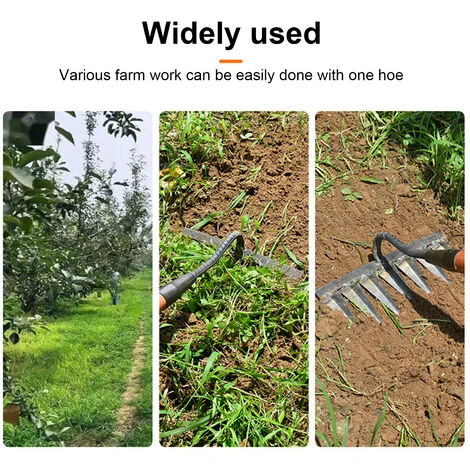 Râteau à Tapis Désherbage Houe Râteau Outil Agricole Désherbage Scarificateur Artefact Outils Agricoles (4 Dents) 3 Râteau à Tapis Désherbage Houe Râteau Outil Agricole Désherbage Scarificateur Artefact Outils Agricoles (4 Dents) – Image 3