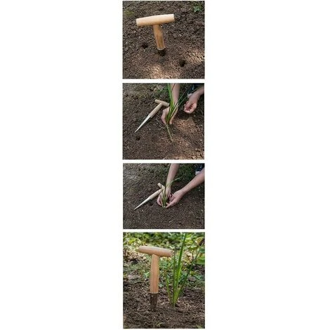 Plantoir à Main Traditionnel En Acier Inoxydable Avec Manche En Bois Léger 4 Plantoir à Main Traditionnel En Acier Inoxydable Avec Manche En Bois Léger – Image 4