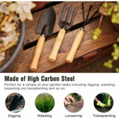3 Pcs Outils De Jardin,Ensemble Outils Jardinage,Outils De Bonsaï,Mini Jardinage Outils Pour Pot De Jardin, Plantes Et Semis 7 3 Pcs Outils De Jardin,Ensemble Outils Jardinage,Outils De Bonsaï,Mini Jardinage Outils Pour Pot De Jardin, Plantes Et Semis -Terre Tendre Soldes Boutique 99809641 3