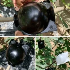 Enracinement Des Plantes Coupe Assistée Par Balle Boîte D'enracinement 10Pcs Dispositif D'enracinement Des Plantes Boutures Haute Pression Enracinement Boule De Propagation Boîte (S) 8 Enracinement Des Plantes Coupe Assistée Par Balle Boîte D'enracinement 10Pcs Dispositif D'enracinement Des Plantes Boutures Haute Pression Enracinement Boule De Propagation Boîte (S) -Terre Tendre Soldes Boutique 99983329 4