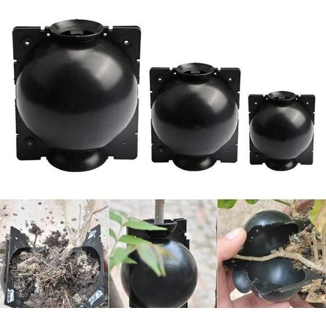 Enracinement Des Plantes Coupe Assistée Par Balle Boîte D'enracinement 10Pcs Dispositif D'enracinement Des Plantes Boutures Haute Pression Enracinement Boule De Propagation Boîte (S) 5 Enracinement Des Plantes Coupe Assistée Par Balle Boîte D'enracinement 10Pcs Dispositif D'enracinement Des Plantes Boutures Haute Pression Enracinement Boule De Propagation Boîte (S) – Image 5